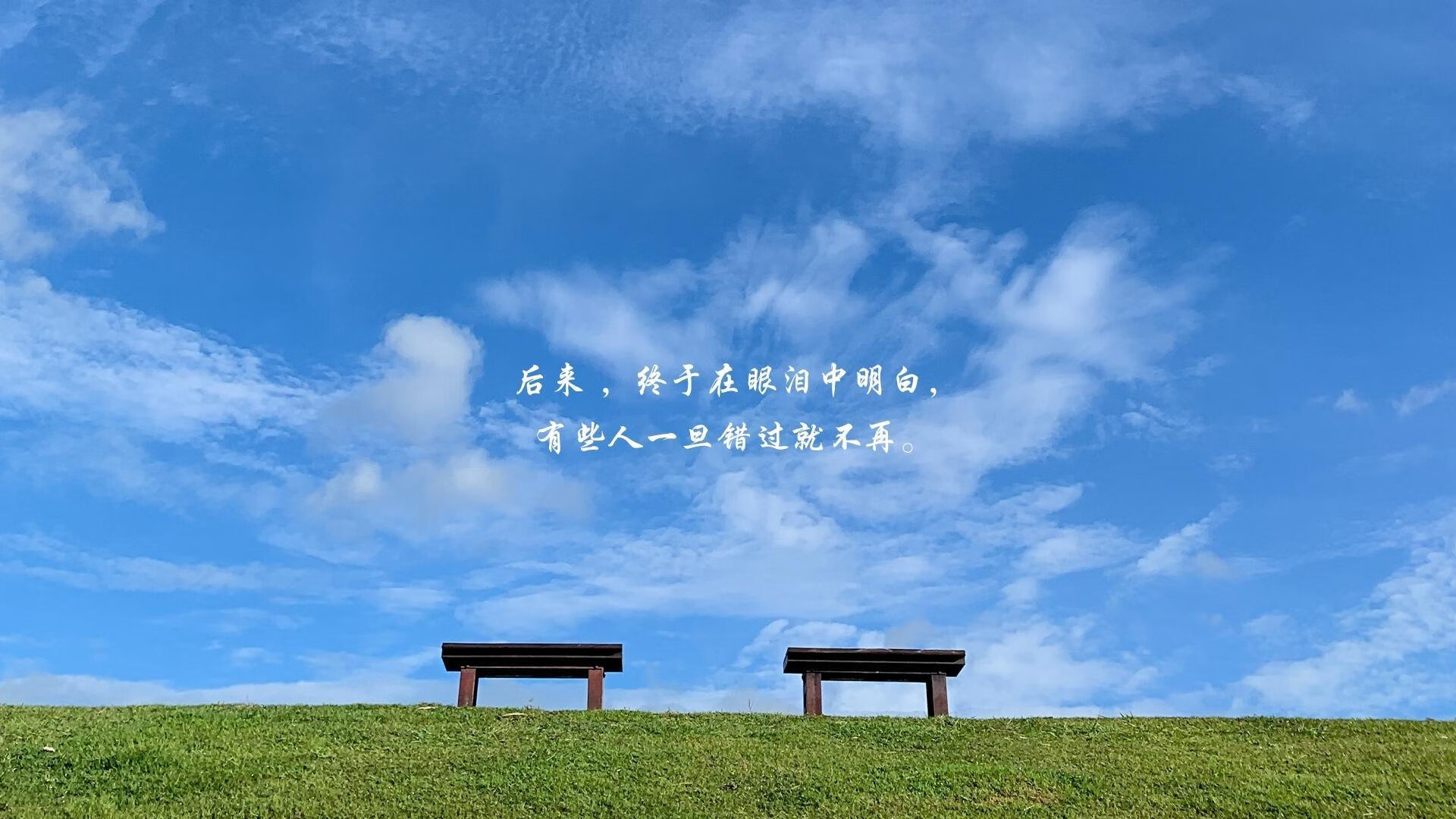 灰熊队战术调整迎来转机，连续获胜，灰熊队介绍