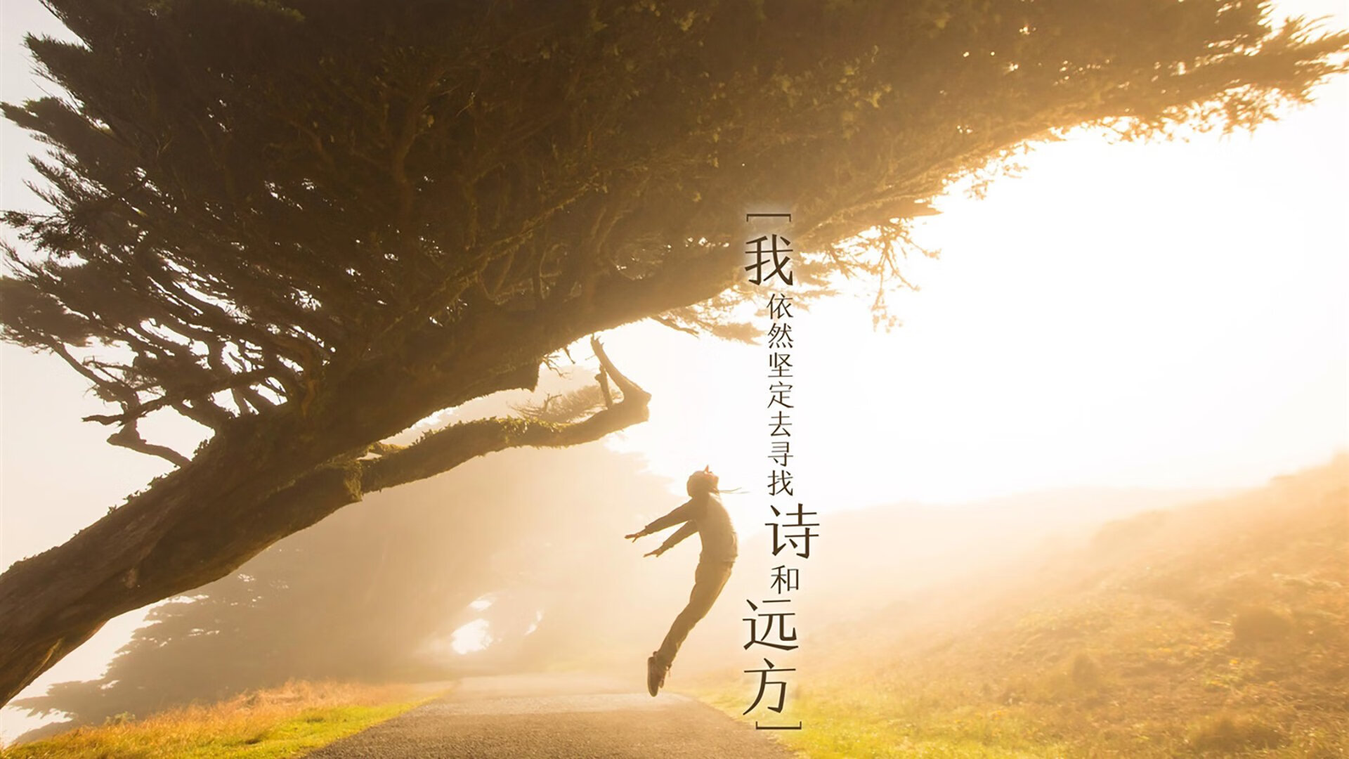 CBA球队战术调整实时分析，cba篮球战术