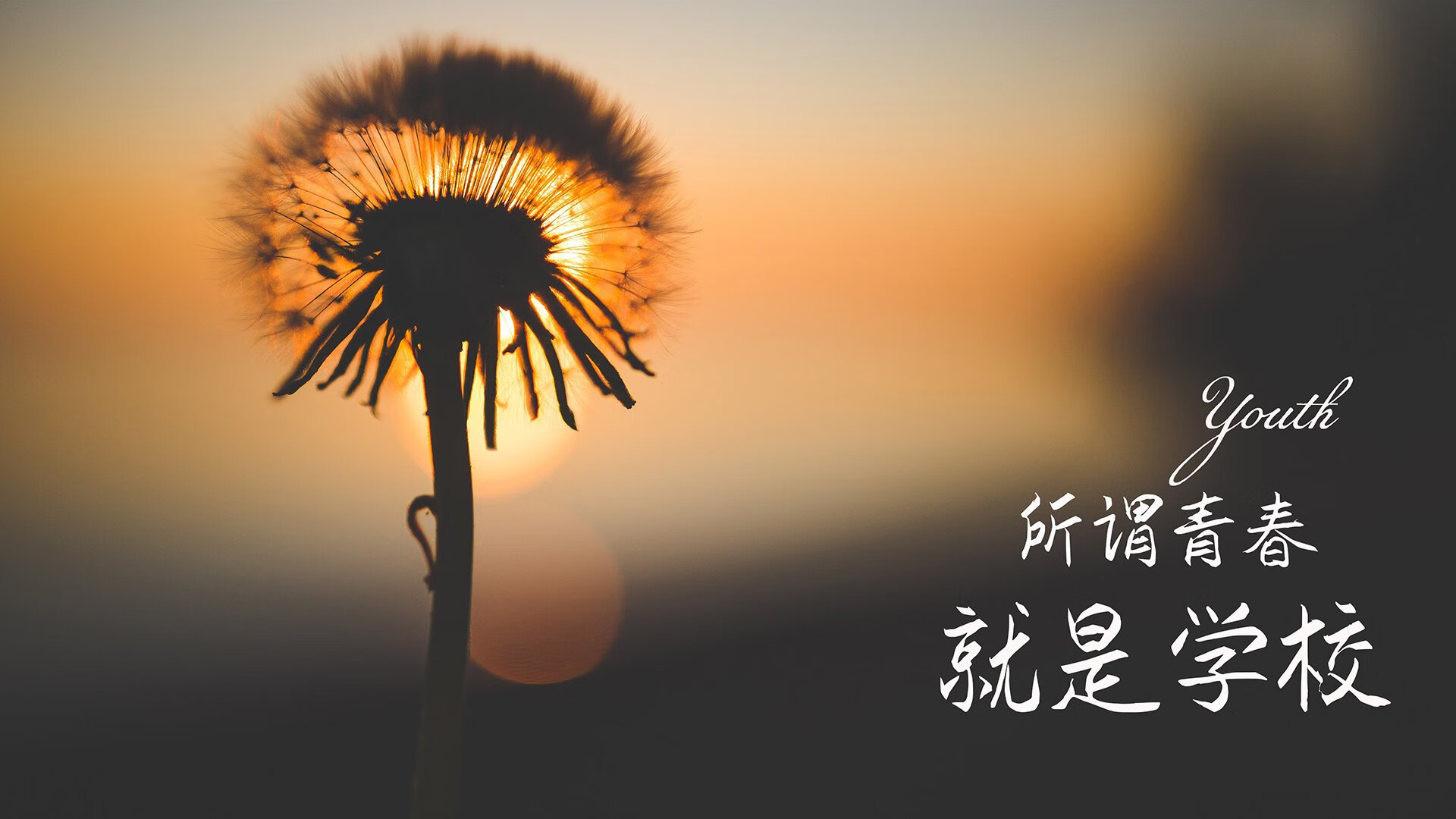 开云体育平台APP-Gen.G选手国际赛表现突出，gen.g比赛