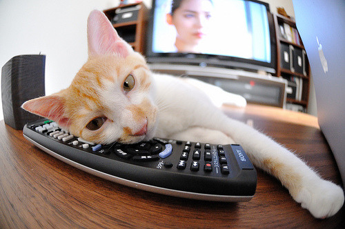 国家队技战术创新能力是否不足