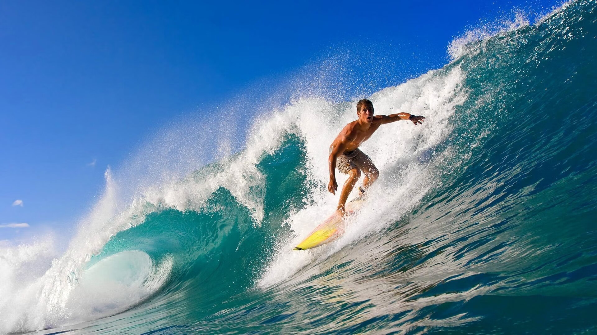 德国女子4x100米自由泳接力队在决赛中获得第八名，女子4x200米自由泳接力决赛东京