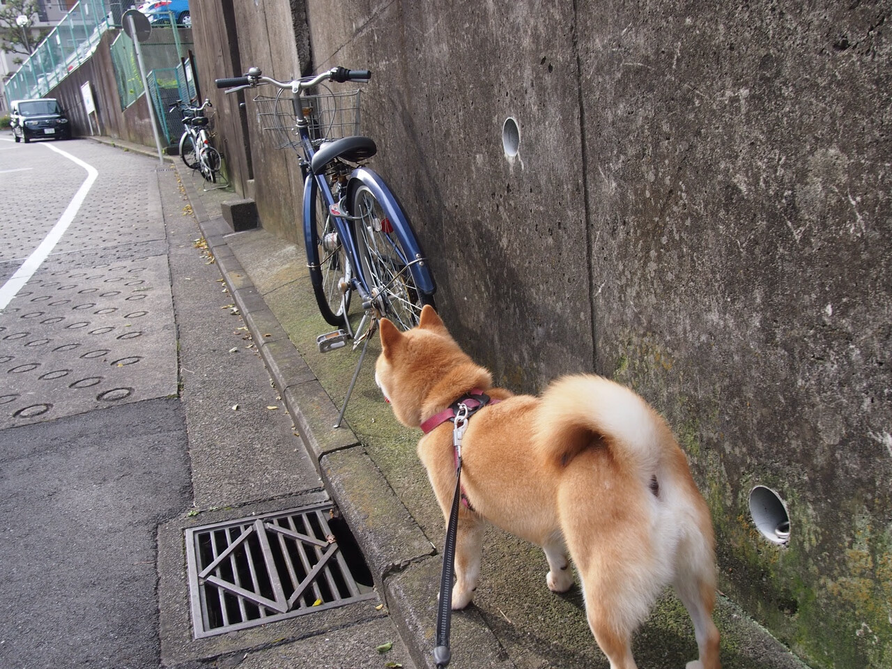 战术安排周密，比赛节奏激烈变化，战术安排的好怎么说