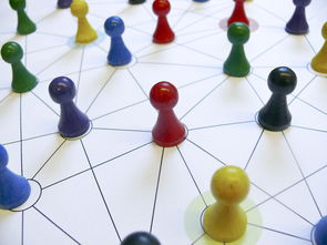 开云体育网址-中国篮球教练员战术执行力提升路径分析，中国篮球教练员等级划分标准