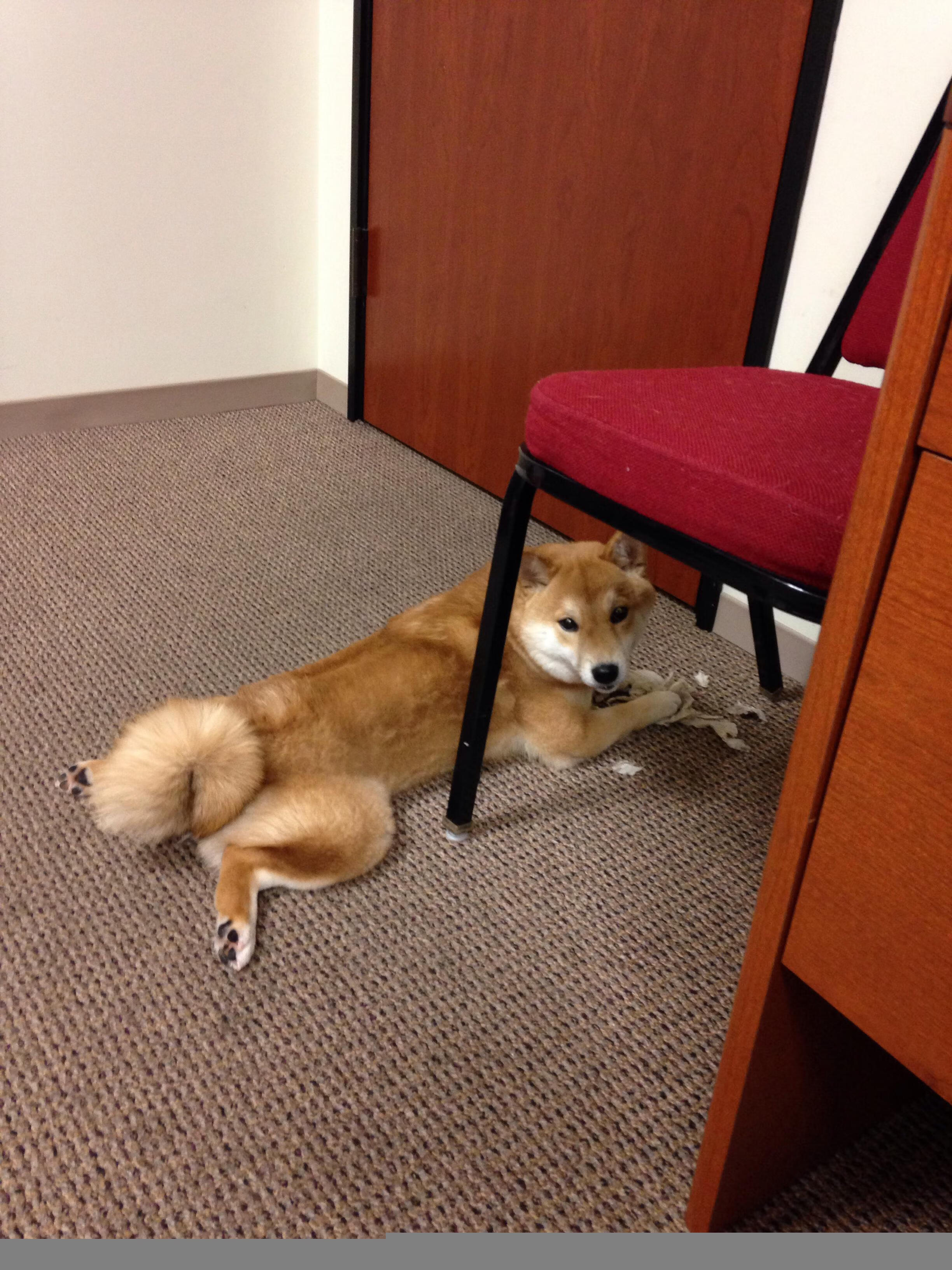 中国足球进攻方向变换频率与效果比对，中国足球方案