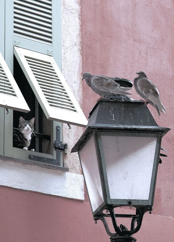 体育社交平台用户粘性提升策略，体育社交功能