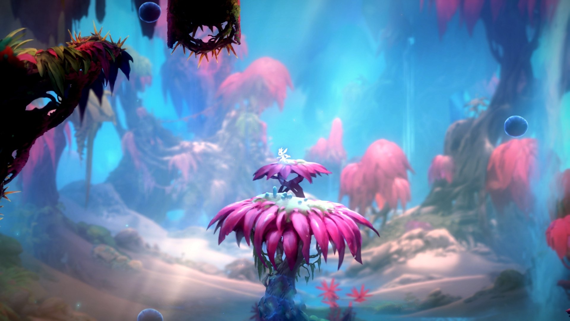 全国青少年马拉松赛余杭站精彩纷呈，青少年马拉松比赛