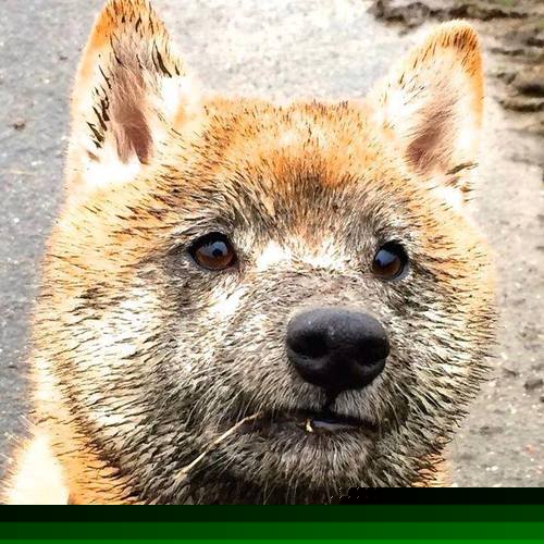 西甲裁判无人机视角辅助执法系统实验成效，无人机裁判员证