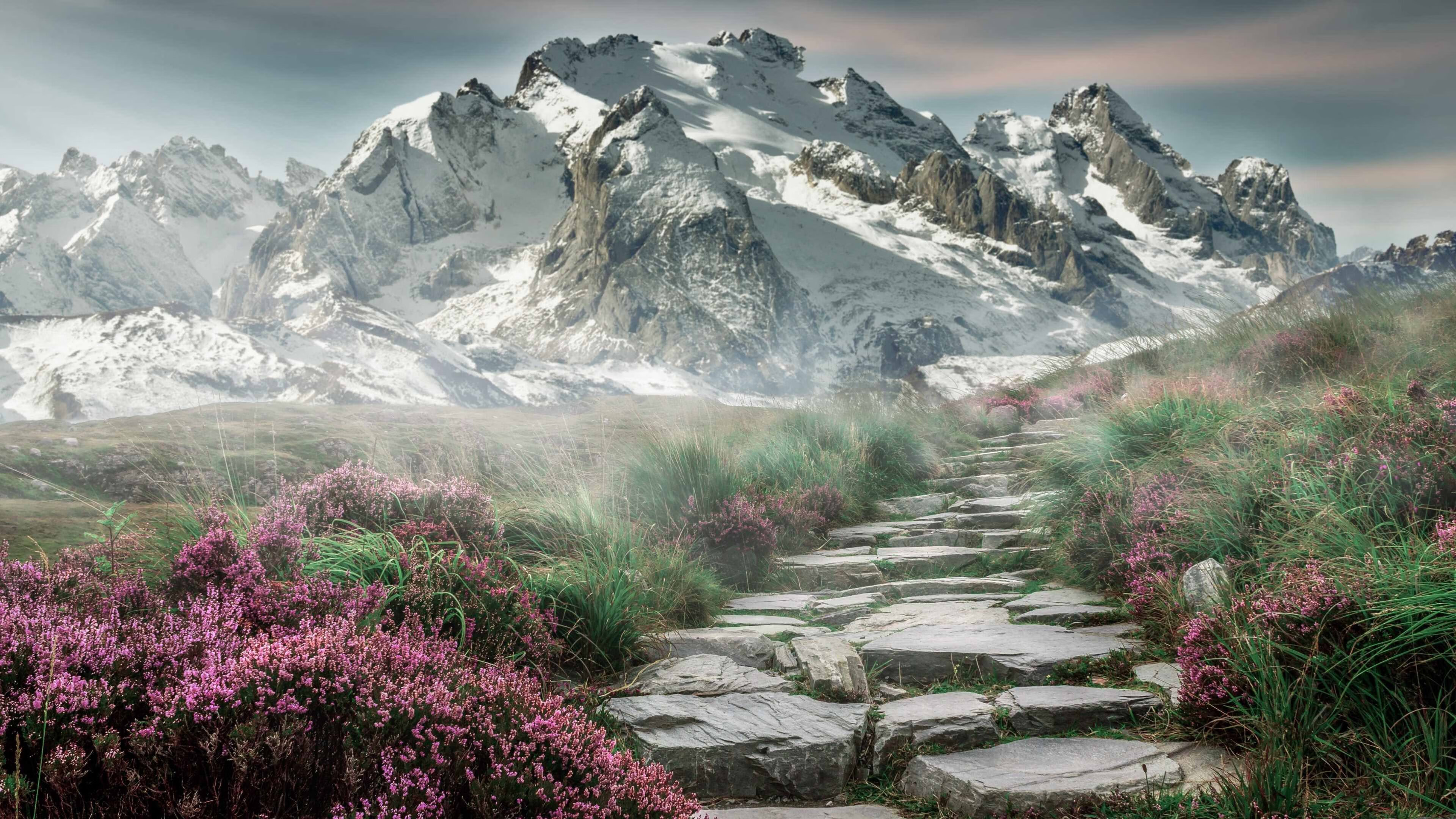 CBA联赛全局统筹能力是否落后发展节奏，cba全场有几个暂停