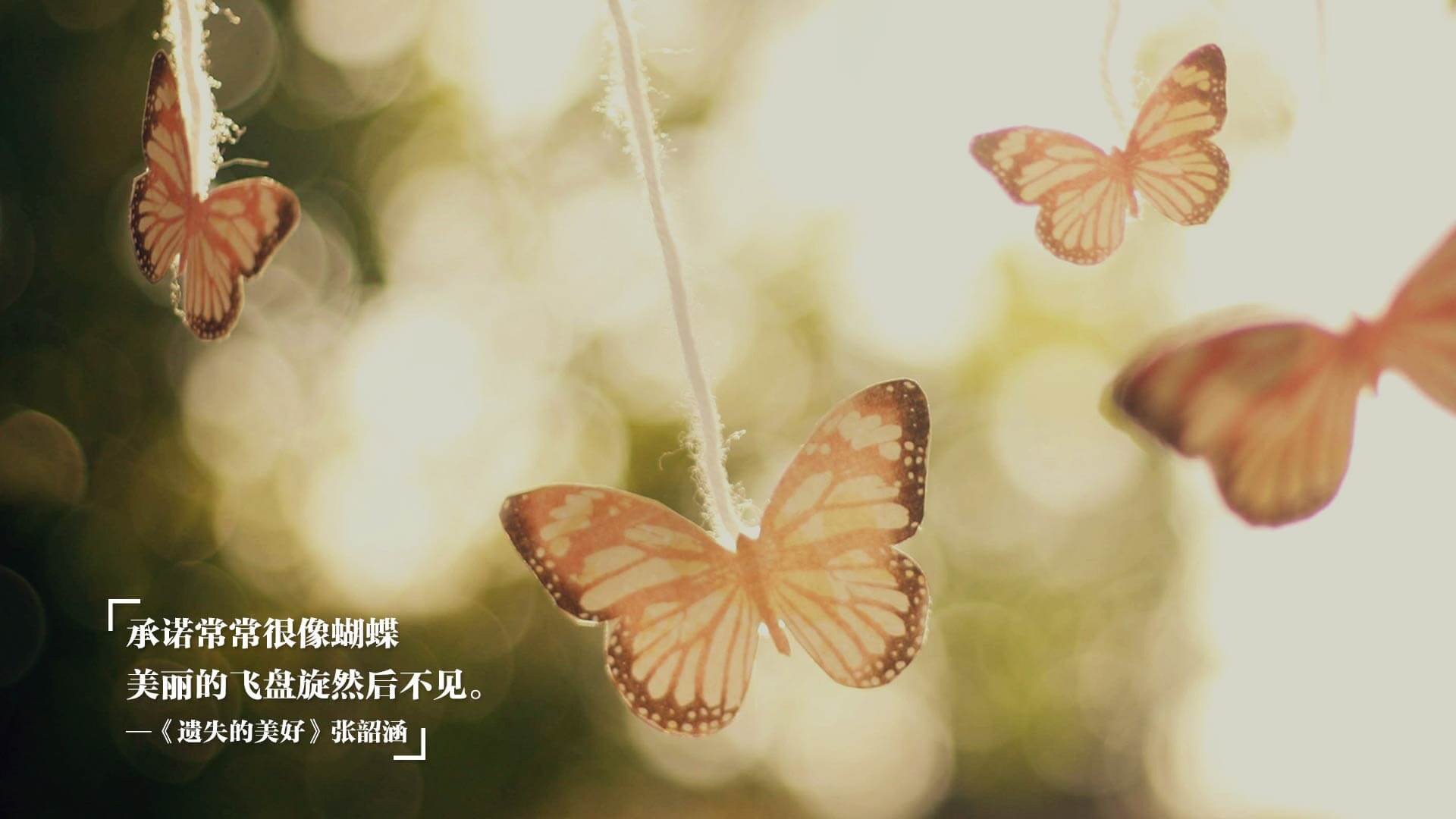 中国女篮核心球员表现抢眼 引领球队节奏，中国女篮人物介绍