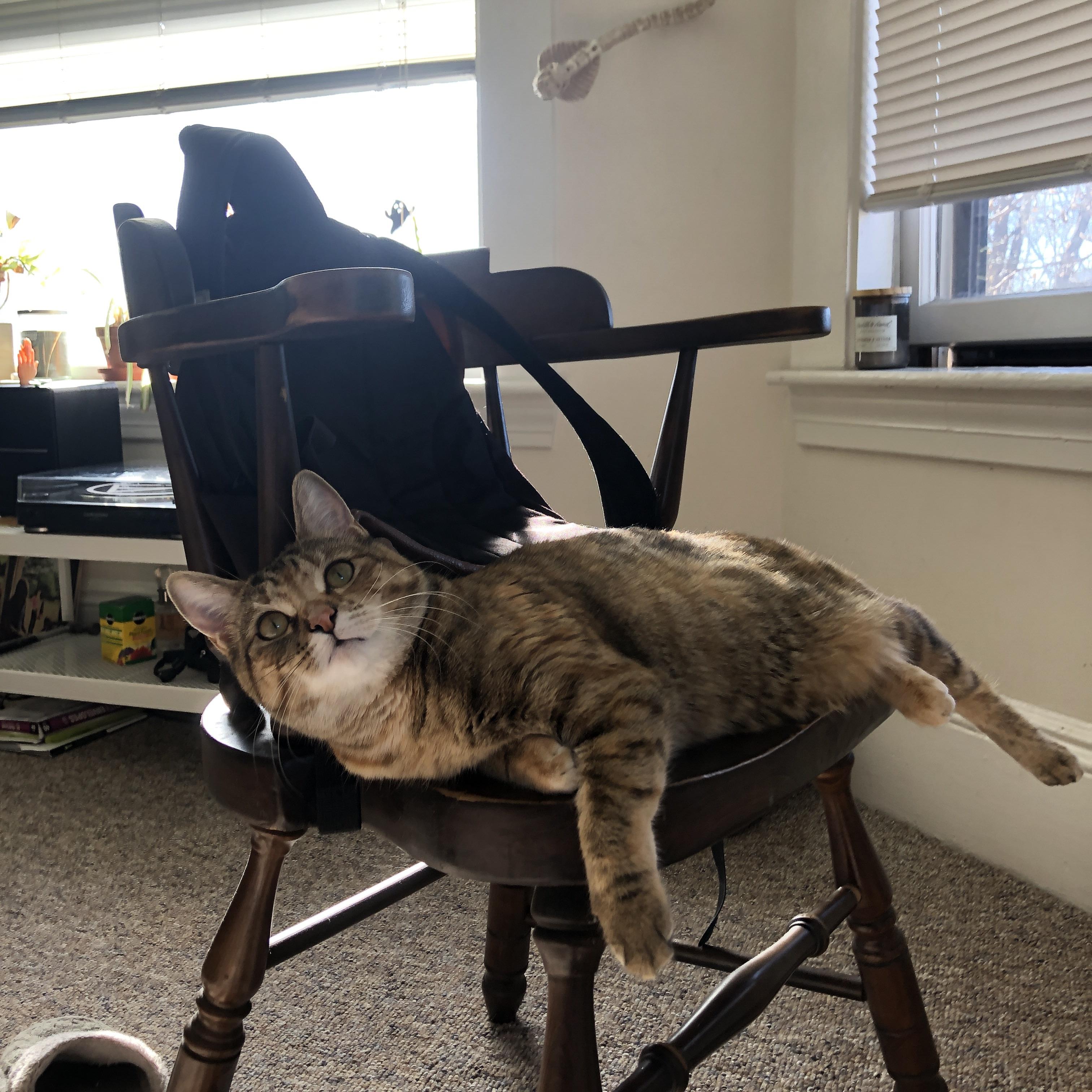 中国足球品牌国际化进程缓慢，中国足球市场化现状