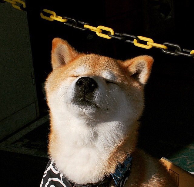 五大联赛战术革新是否来源于教练更新换代,五大联赛技术排名