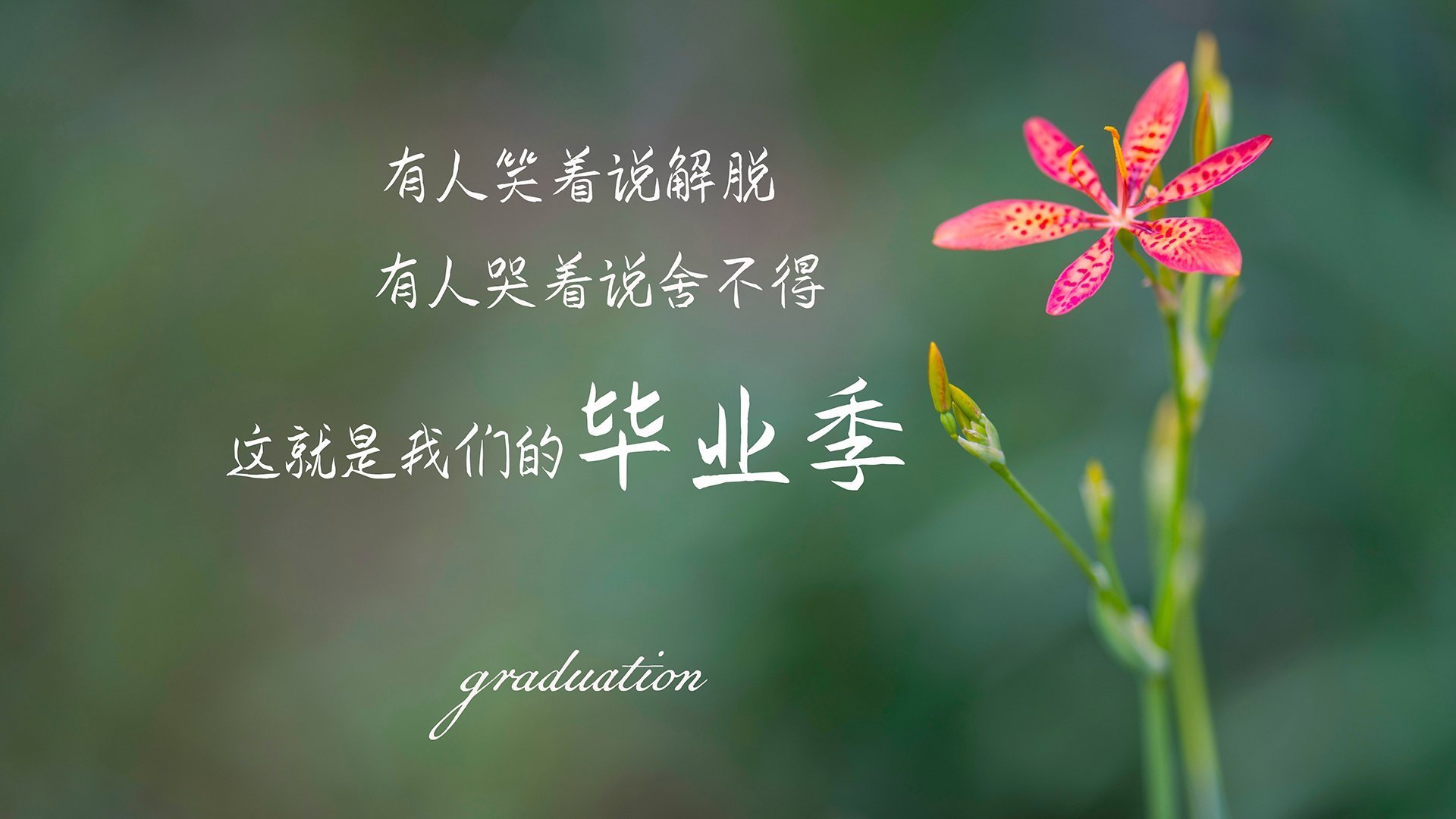 博卡难以摆脱拜仁的前场压制，博卡的主场在哪