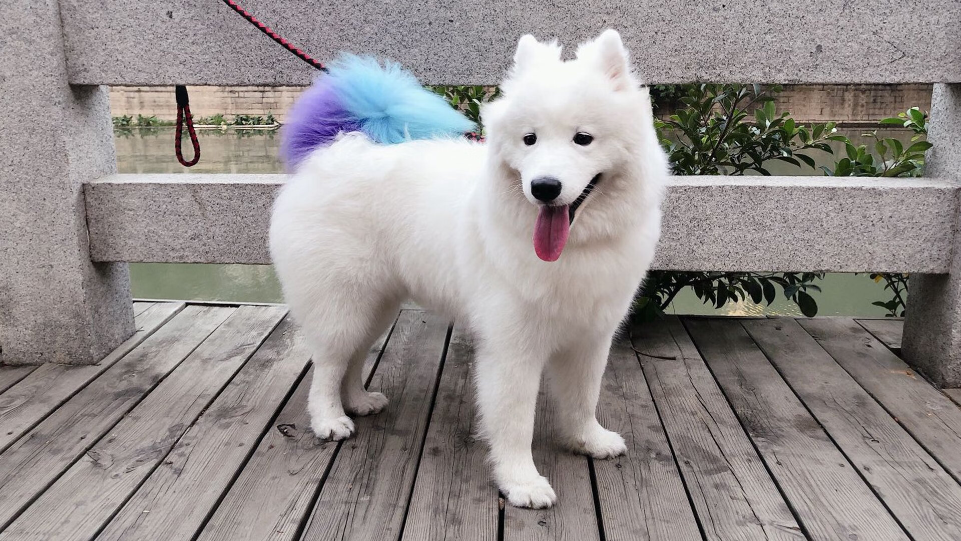 国家队战术执行为何频繁出现失误，国家队战术执行为何频繁出现失误现象